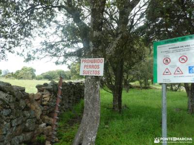 Ermita de Navalazarza y Dehesa de Moncalvillo;grupos de senderismo en malaga equipo de senderismo se